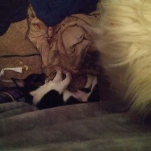 Meet your Posher, Edith